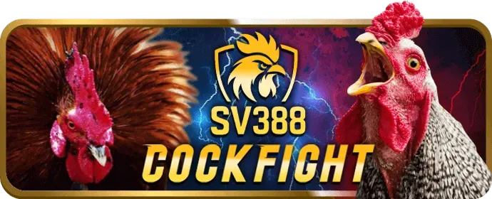 Cấp độ VIP Đồng